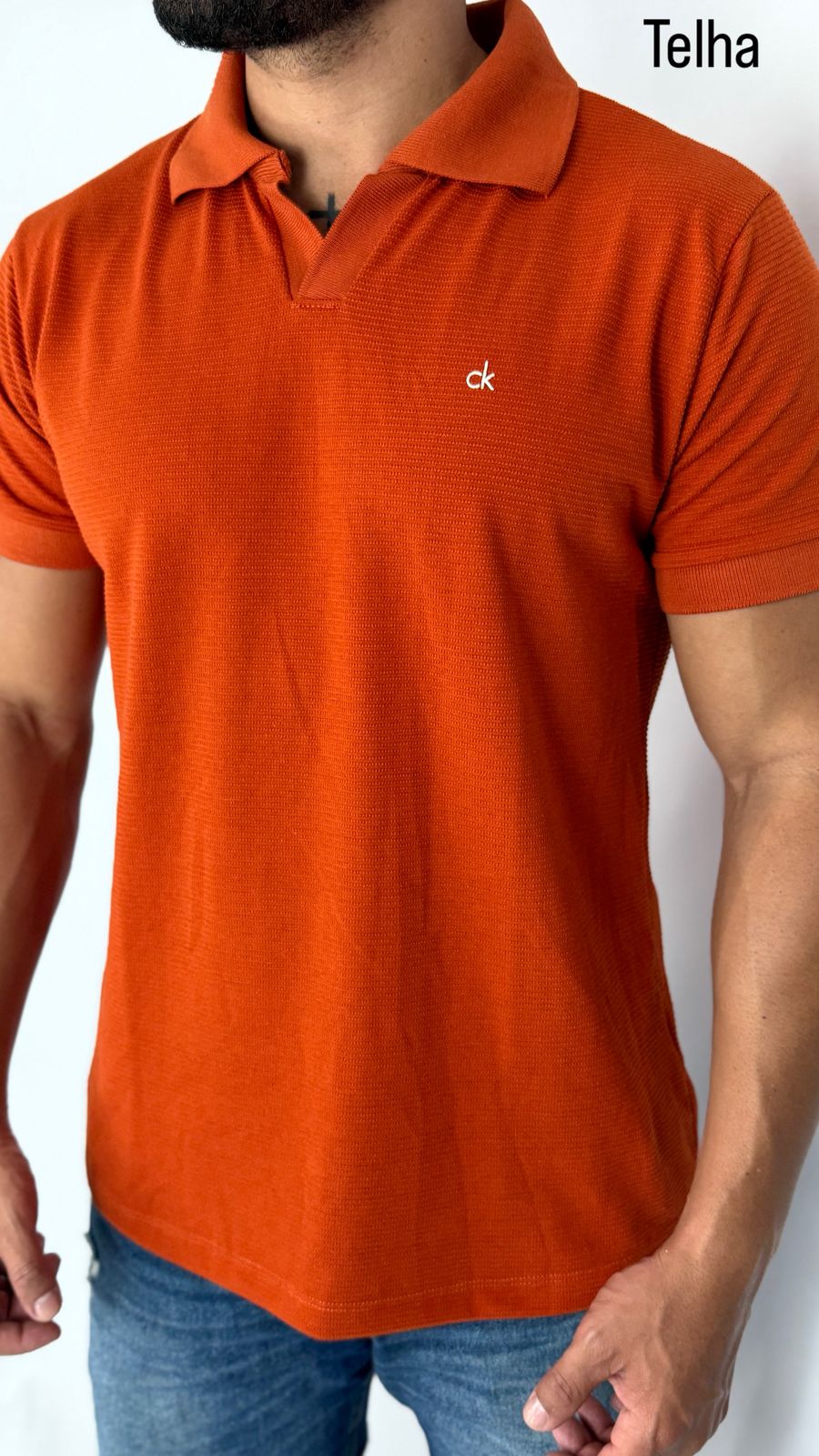 Imagem da categoria CAMISA POLO TEXTURIZADA