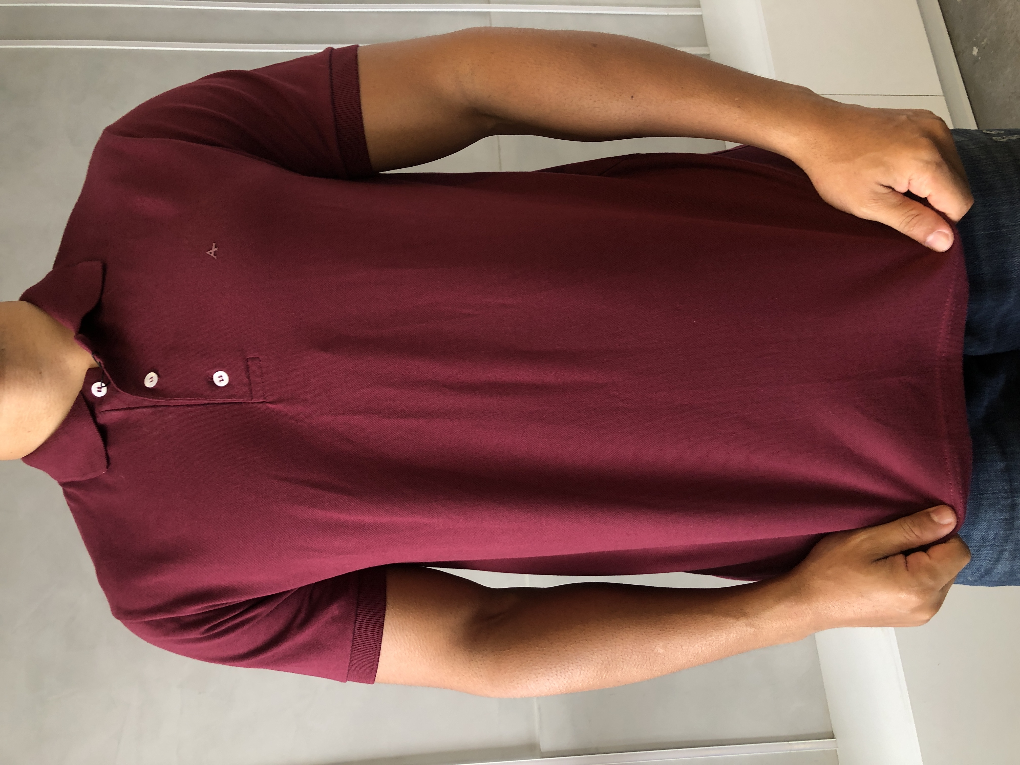CAMISA POLO ARAMIS