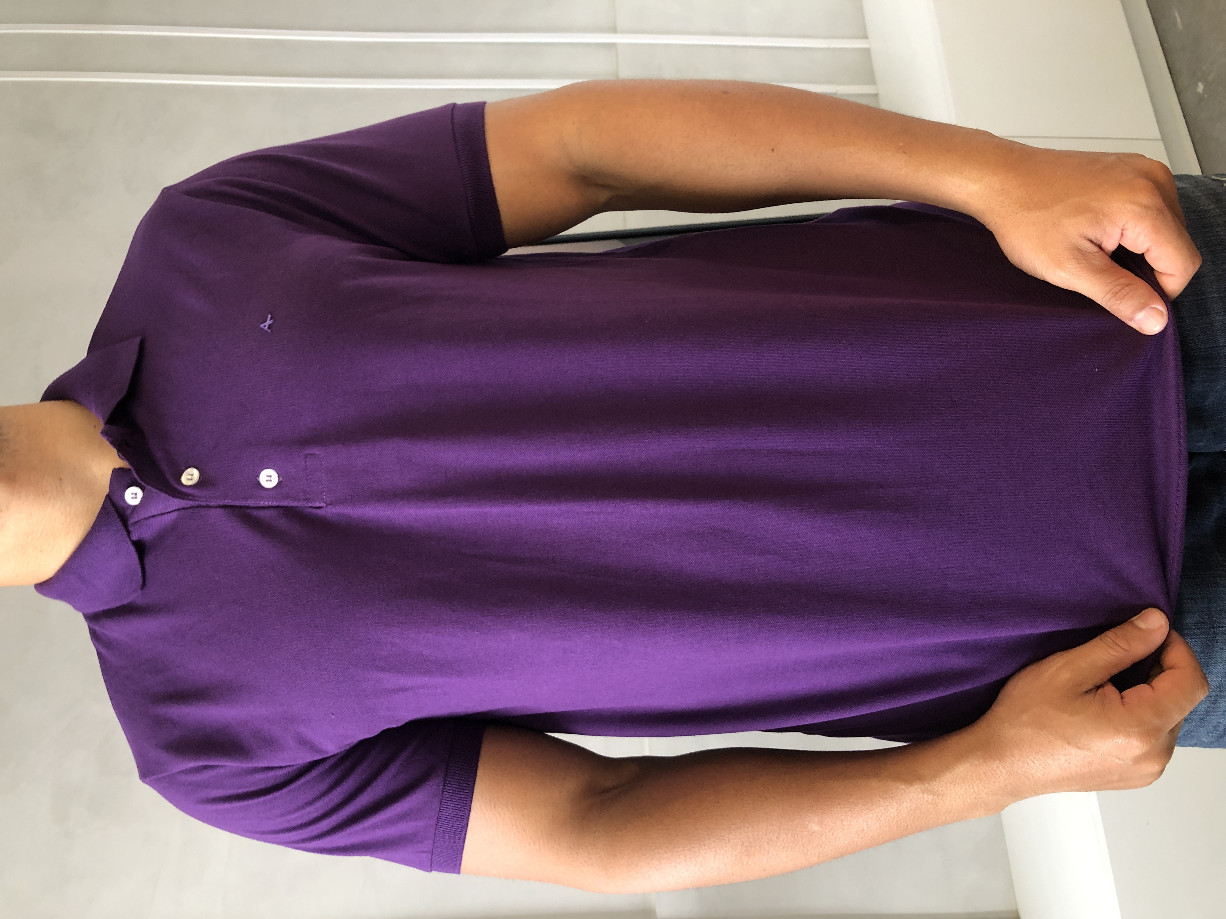 CAMISA POLO ARAMIS