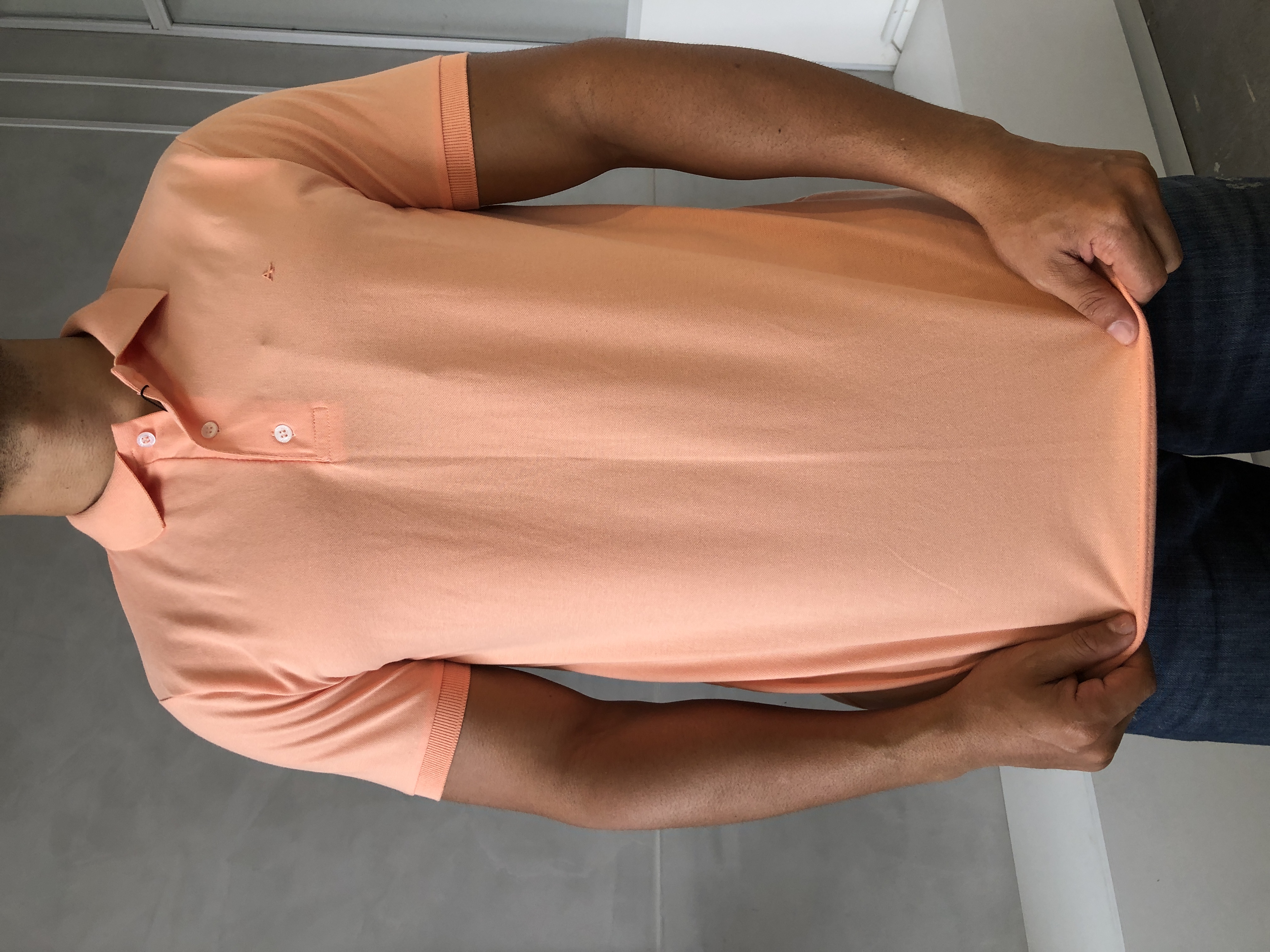 CAMISA POLO ARAMIS