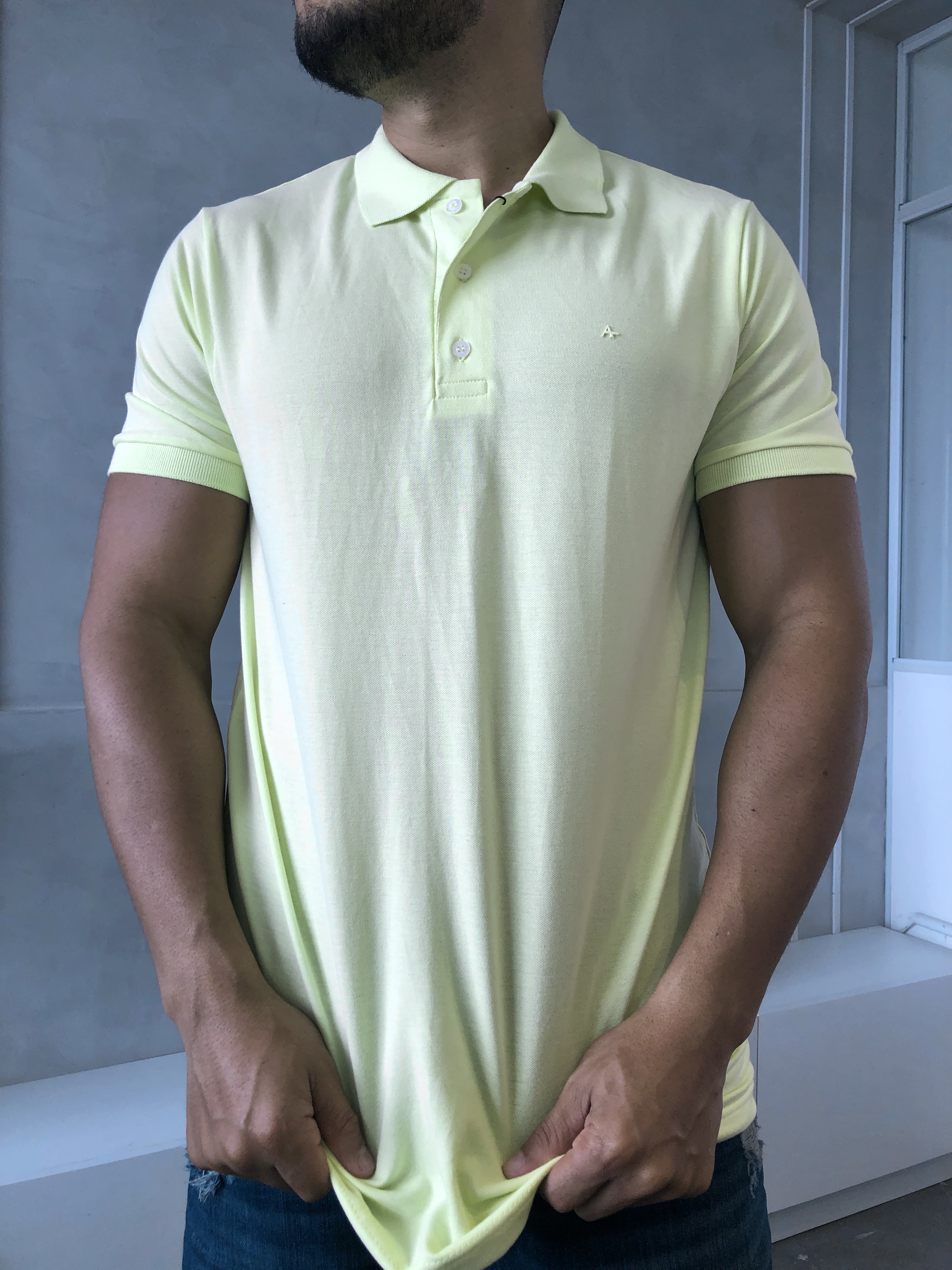 CAMISA POLO ARAMIS