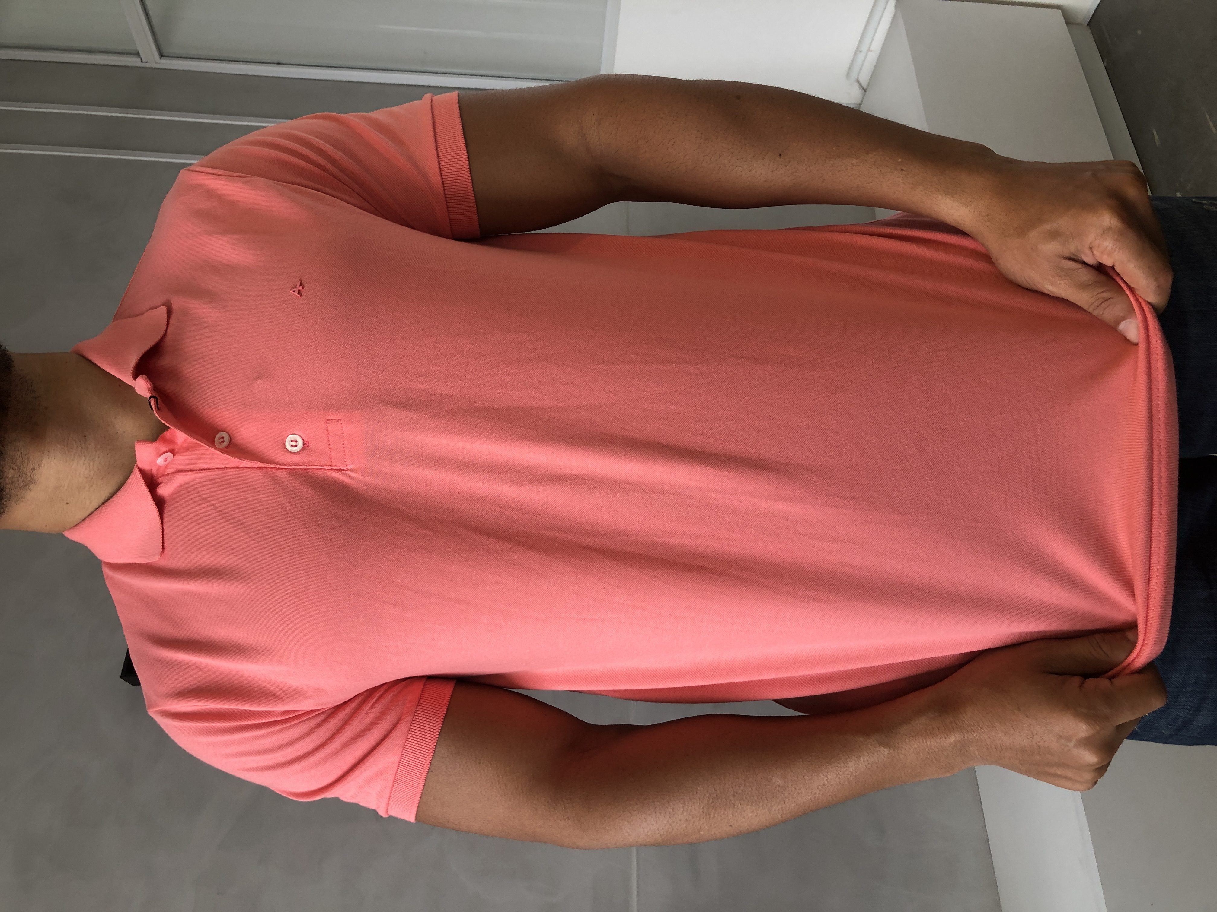 CAMISA POLO ARAMIS