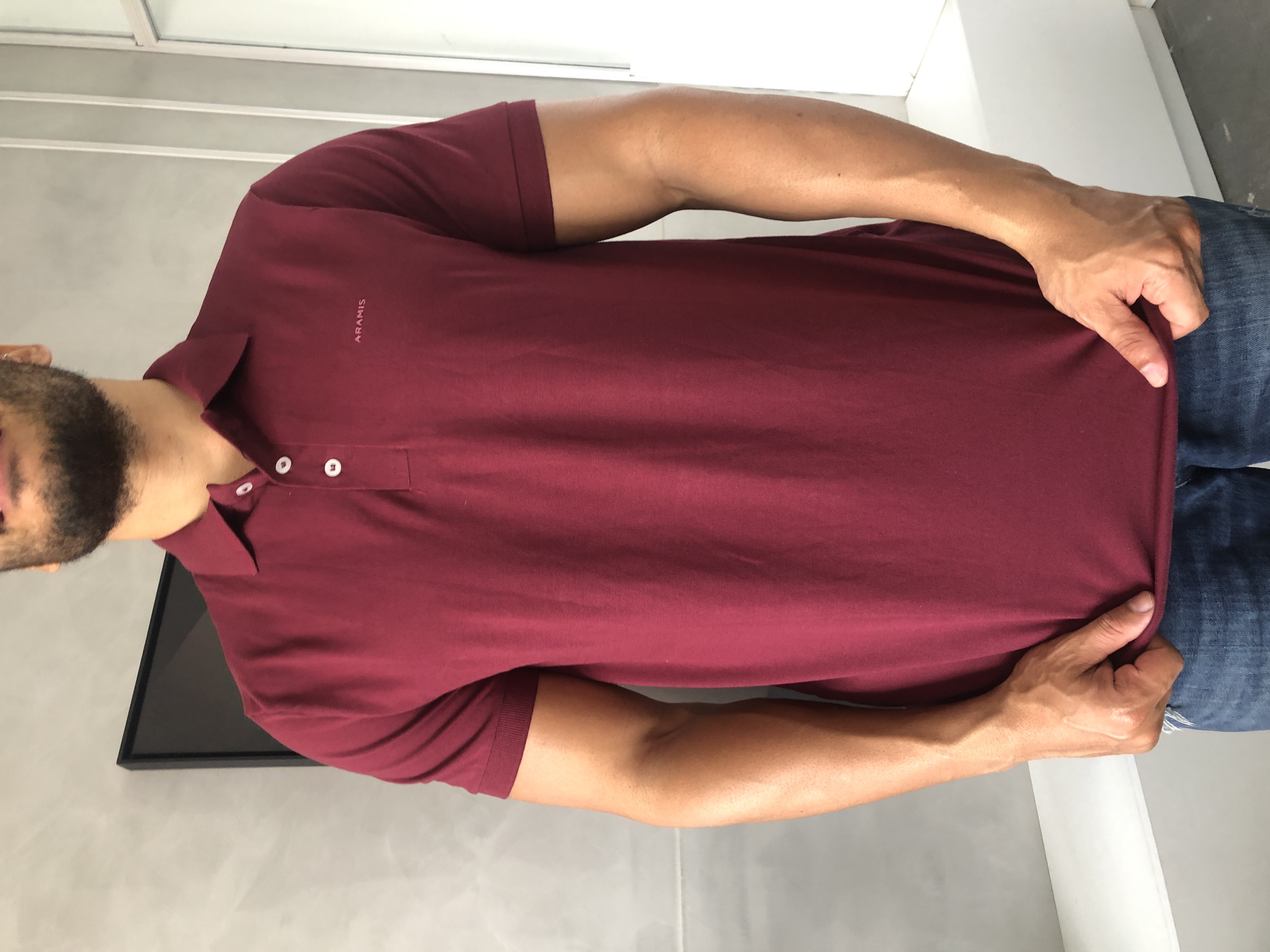 CAMISA POLO ARAMIS