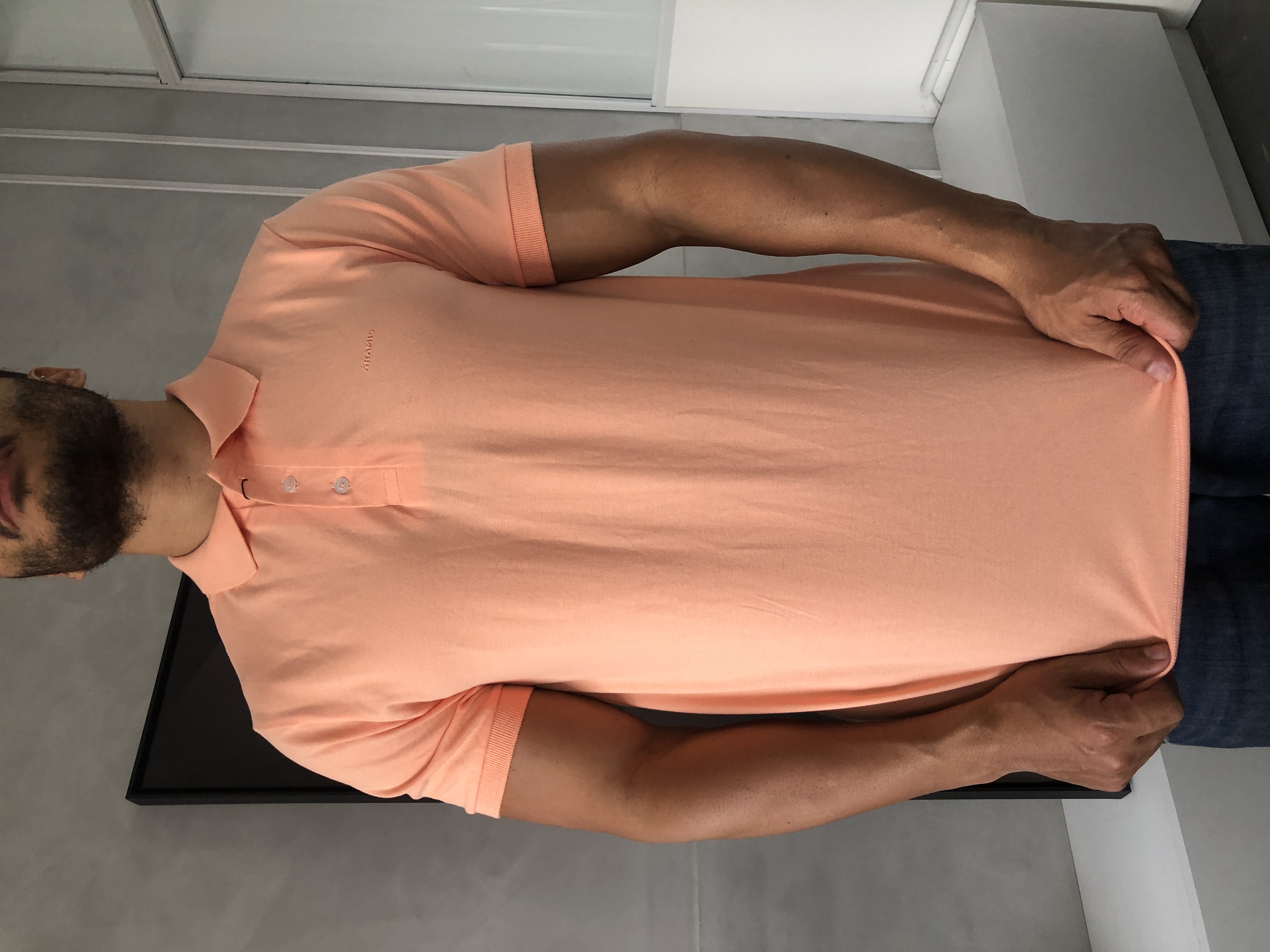 CAMISA POLO ARAMIS
