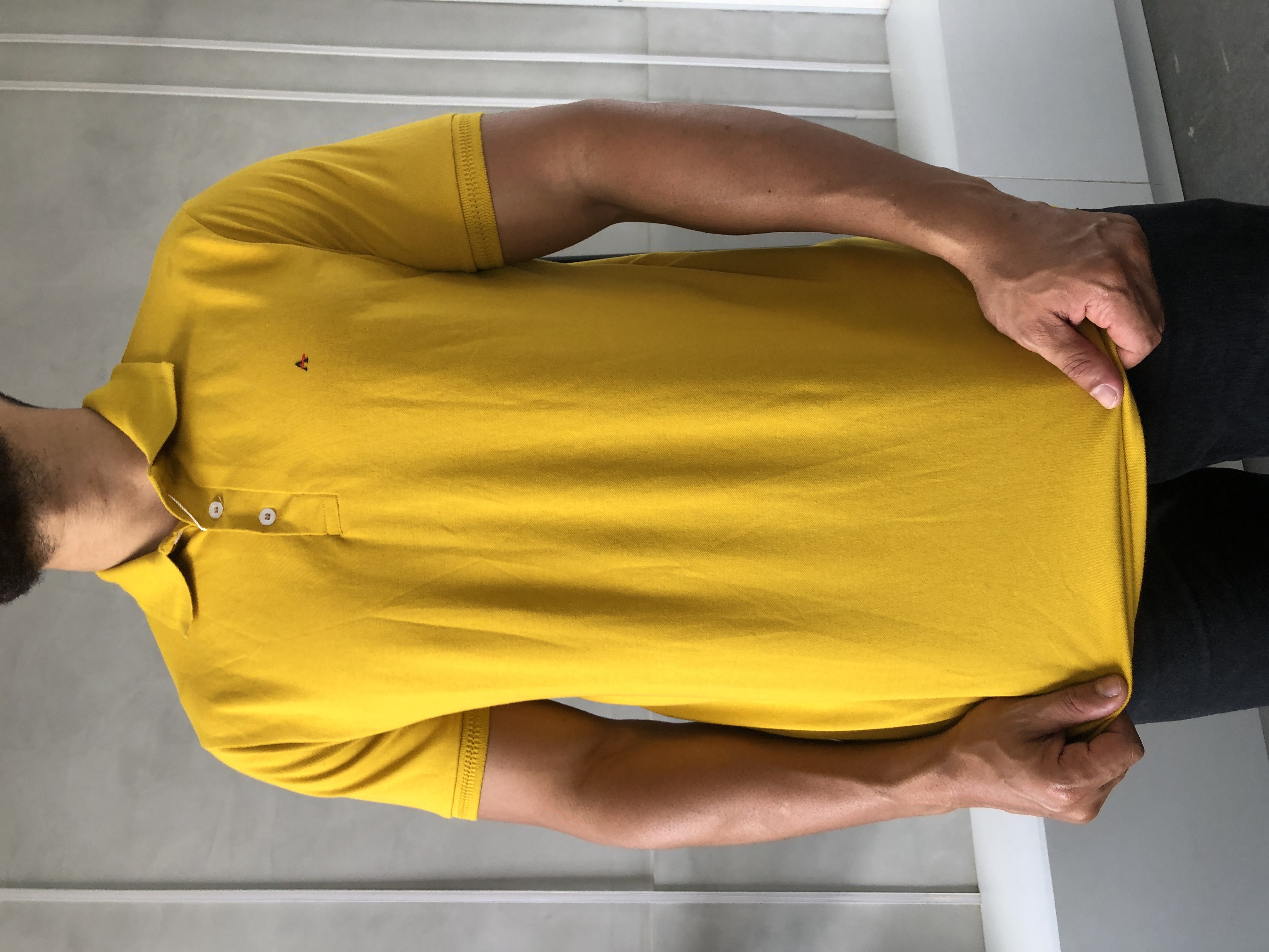 CAMISA POLO ARAMIS